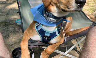 Paul K.'s photo of camping with pets at Carter Caves State Resort Park Campground near Manchester, OH