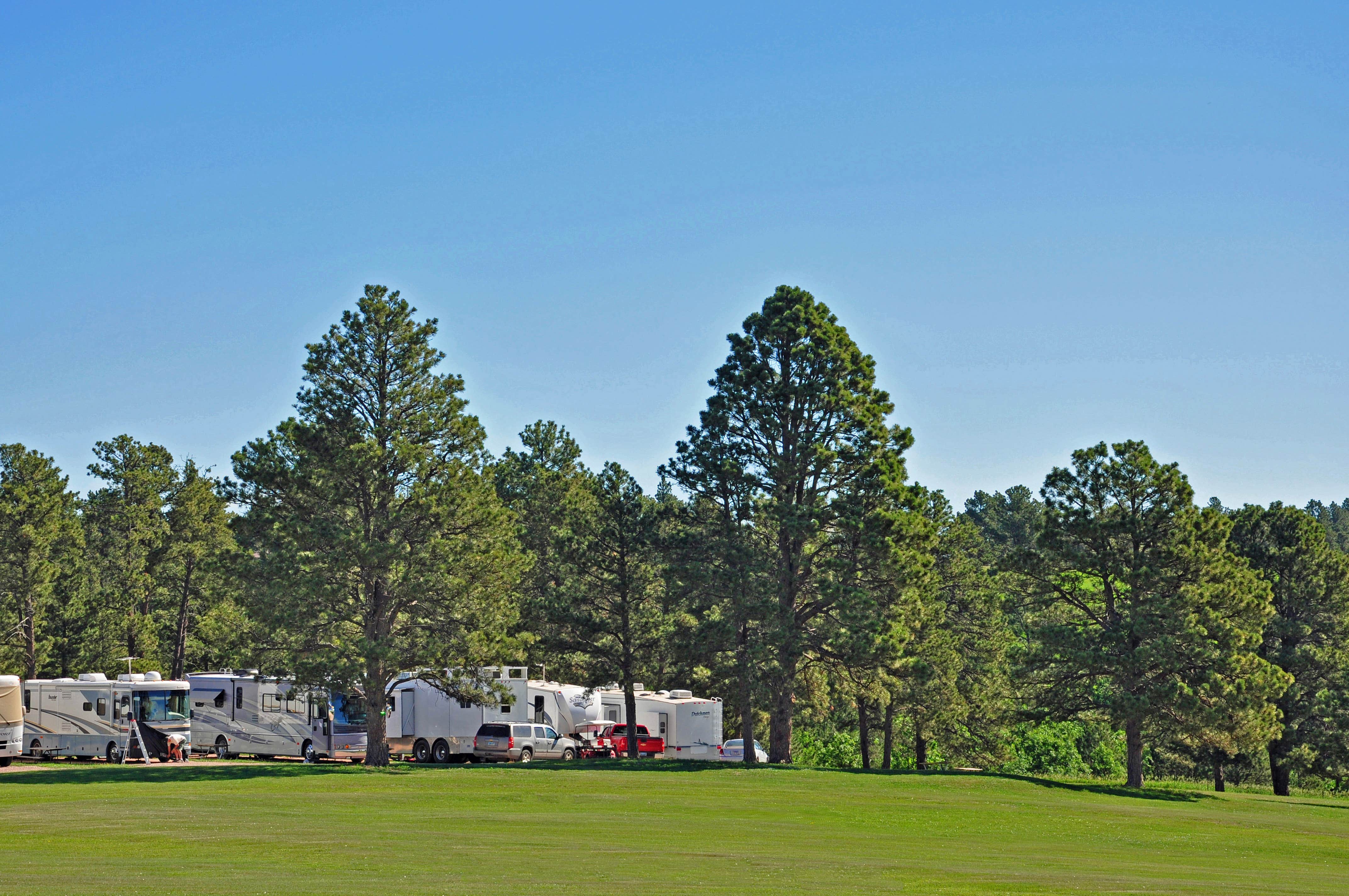 Camper submitted image from Rushmore Shadows Resort - 3