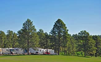 Steve B.'s photo at Rushmore Shadows Resort near Rapid City, SD