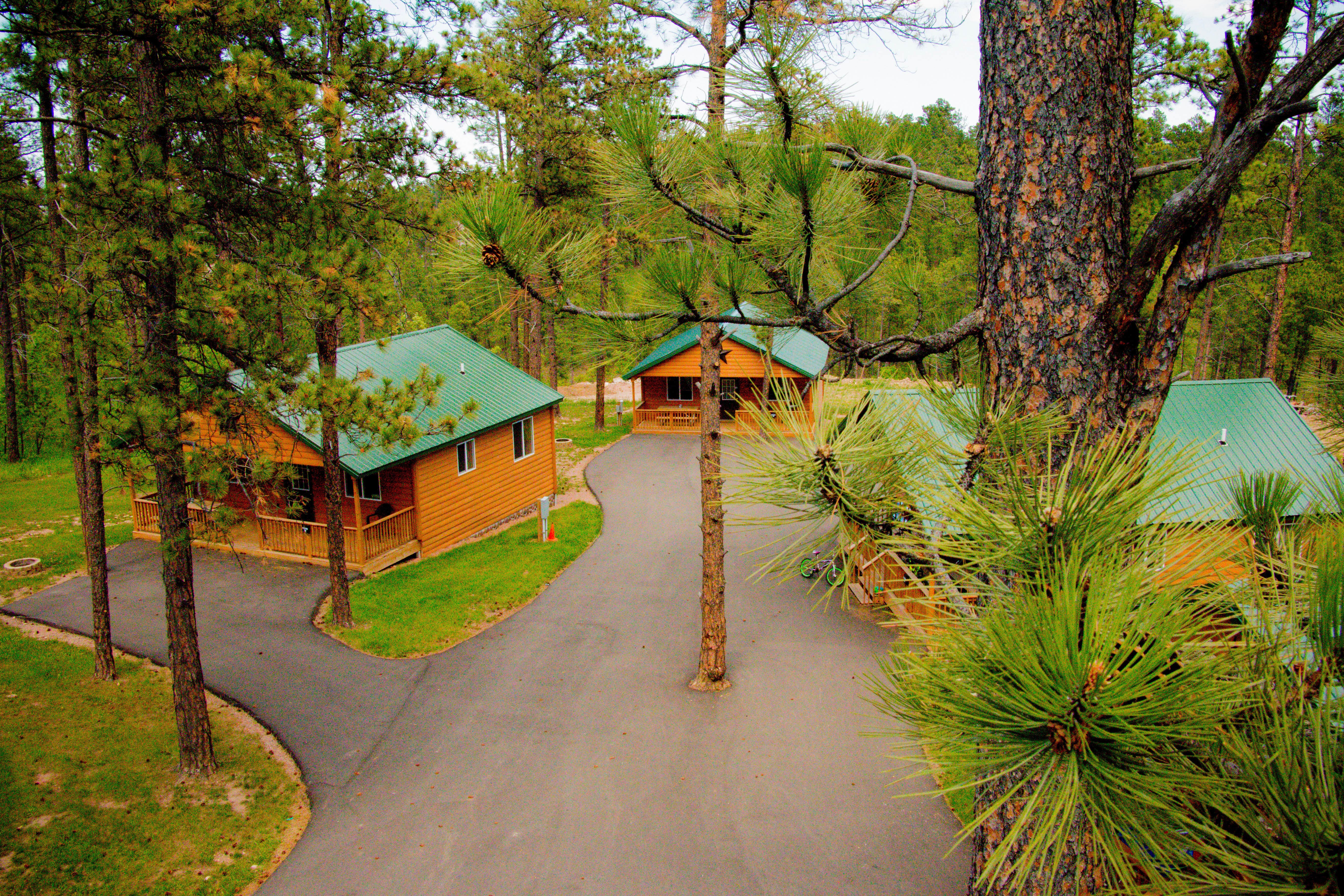 Steve B.'s photo of a cabin at Rushmore Shadows Resort near Piedmont, SD