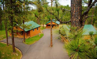 Steve B.'s photo of a cabin at Rushmore Shadows Resort near Piedmont, SD