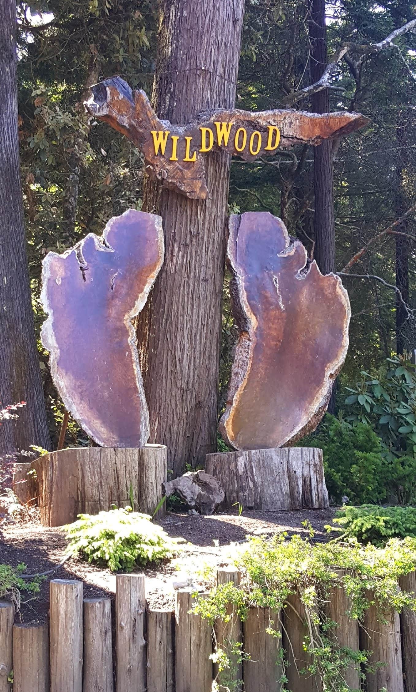 Camper-submitted photo at Wildwood RV Park & Campground near Point Arena, CA