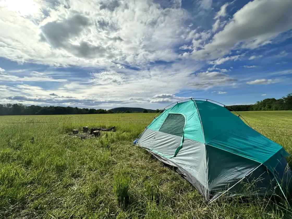 Nature Lover's Paradise