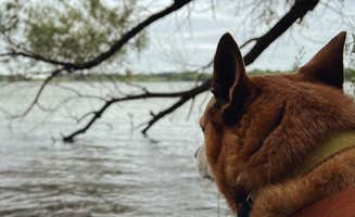 Art S.'s photo of camping with pets at Myre State Park Campgrounds near Britt, IA