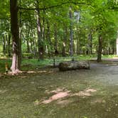 Review photo of Myre State Park Campgrounds by Art S., July 12, 2023