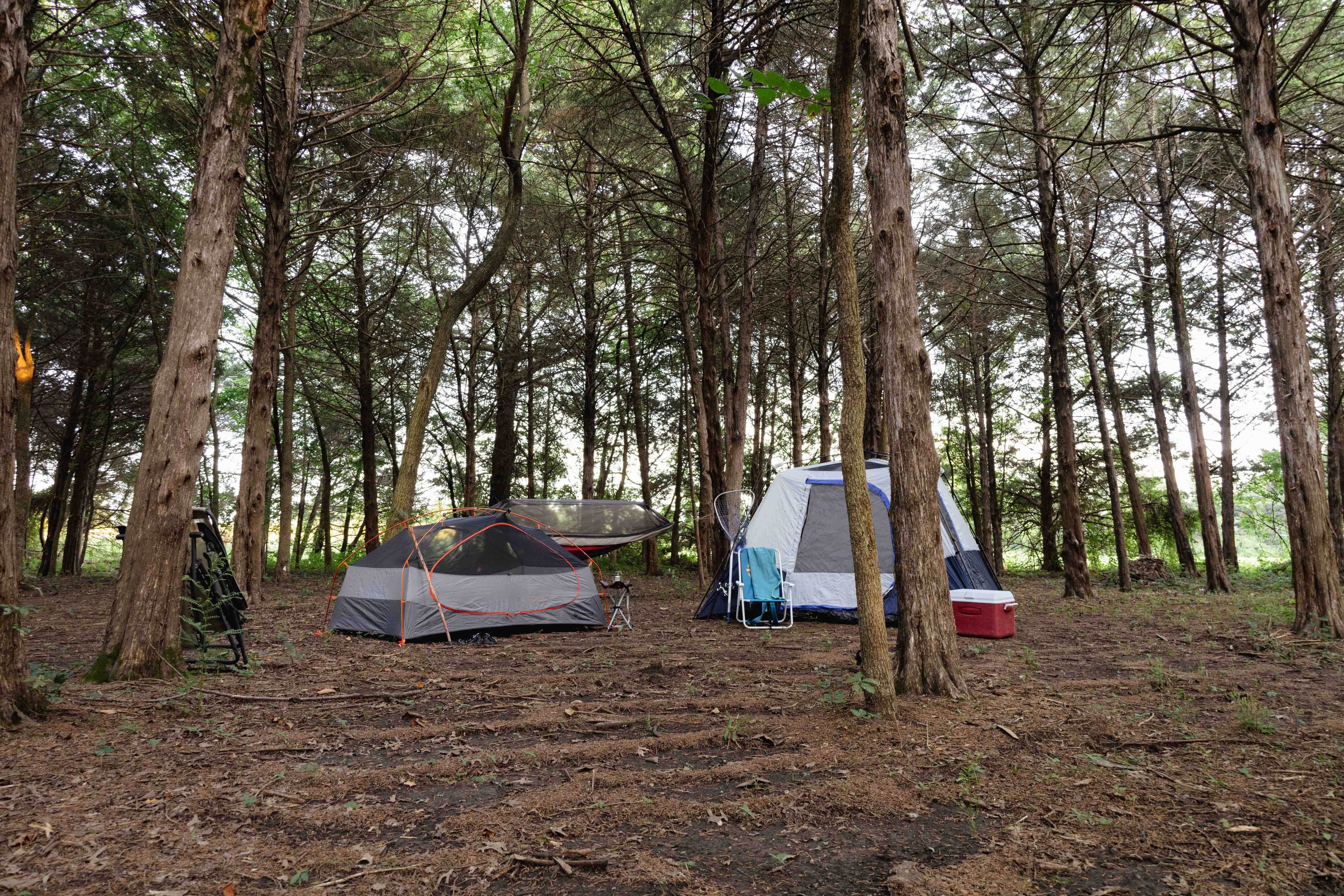 Camper-submitted photo at Cedar Hill Amphitheater near Clinton, MO