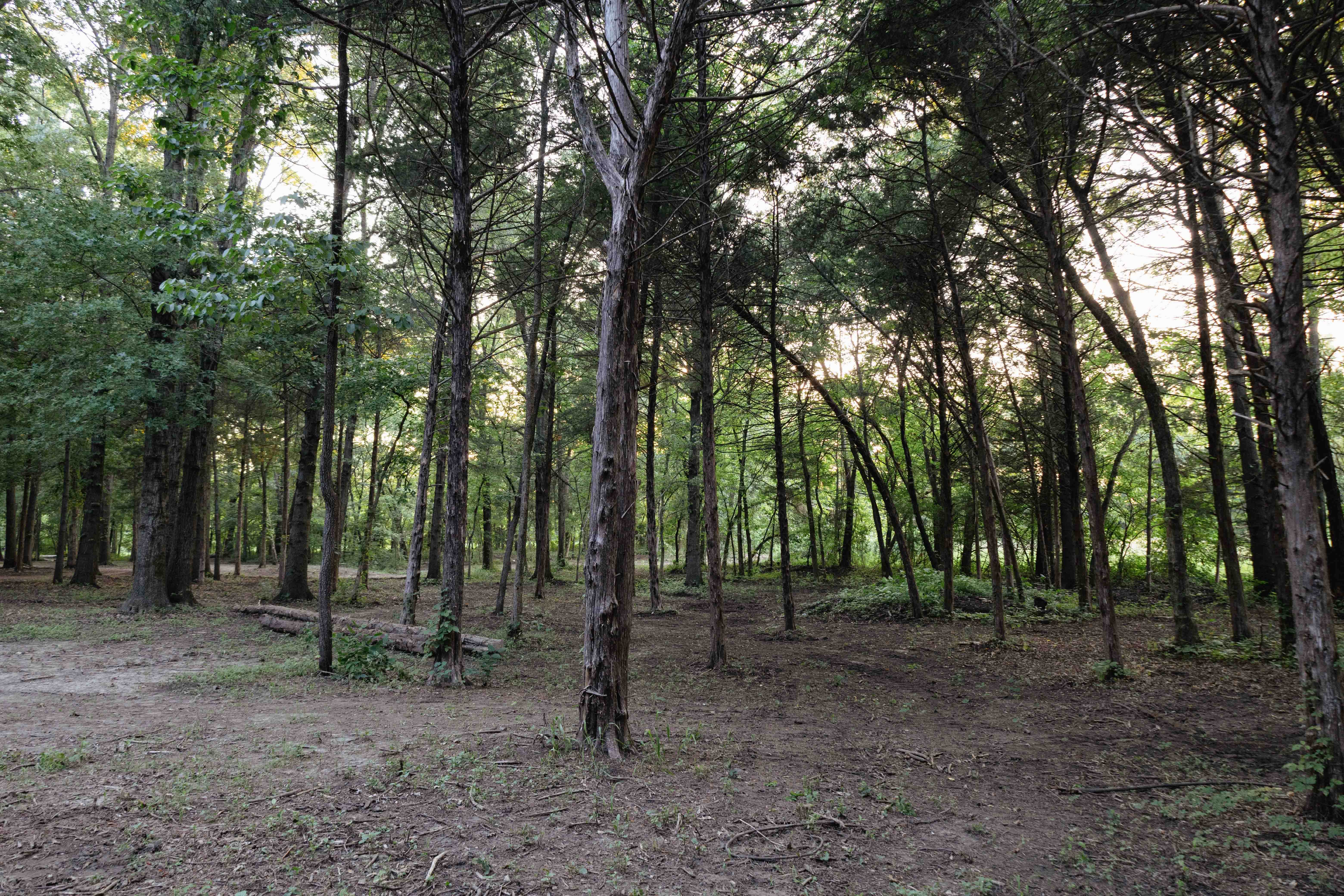 Camper-submitted photo at Cedar Hill Amphitheater near Clinton, MO