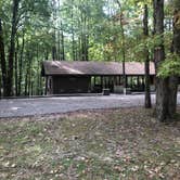 Review photo of David Crockett State Park Campground by Shelly S., October 23, 2018