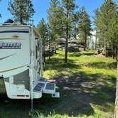 Review photo of RD 356 Dispersed Site Black Hills National Forest by Bob W., July 13, 2023