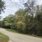 Review photo of David Crockett State Park Campground by Shelly S., October 23, 2018