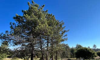 Camping near Blair Valley Primitive Campground — Anza-Borrego Desert State Park: Kitchen Creek Road, Mount Laguna, California