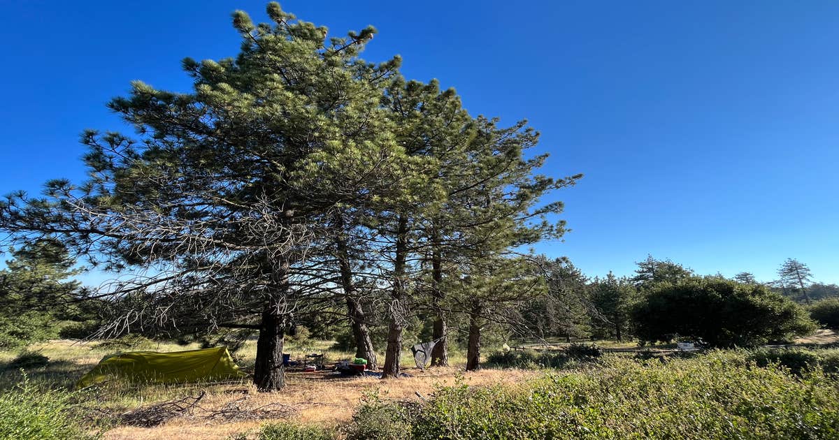 Kitchen Creek Road Camping Mount Laguna, CA