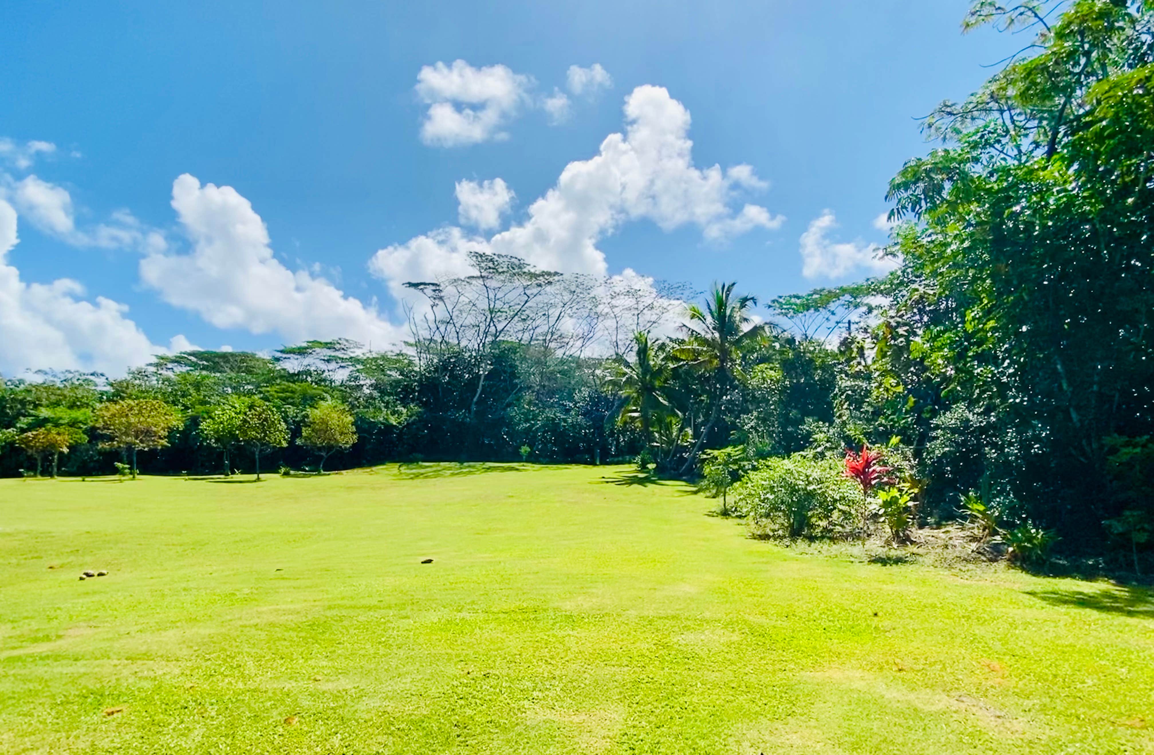 Camper-submitted photo at Wild Blue Water Ranch near Hawaiian Paradise Park, HI