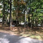 Review photo of David Crockett State Park Campground by Shelly S., October 23, 2018