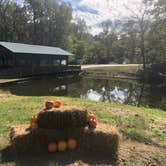 Review photo of David Crockett State Park Campground by Shelly S., October 23, 2018