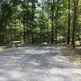 Review photo of David Crockett State Park Campground by Shelly S., October 23, 2018