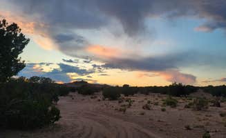 Cheryl D.'s photo of a dispersed camping area at Millard Desert Camp near Great Basin National Park