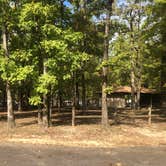 Review photo of David Crockett State Park Campground by Shelly S., October 23, 2018