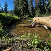 Review photo of Spruces - Big Cottonwood by nadia H., July 13, 2023