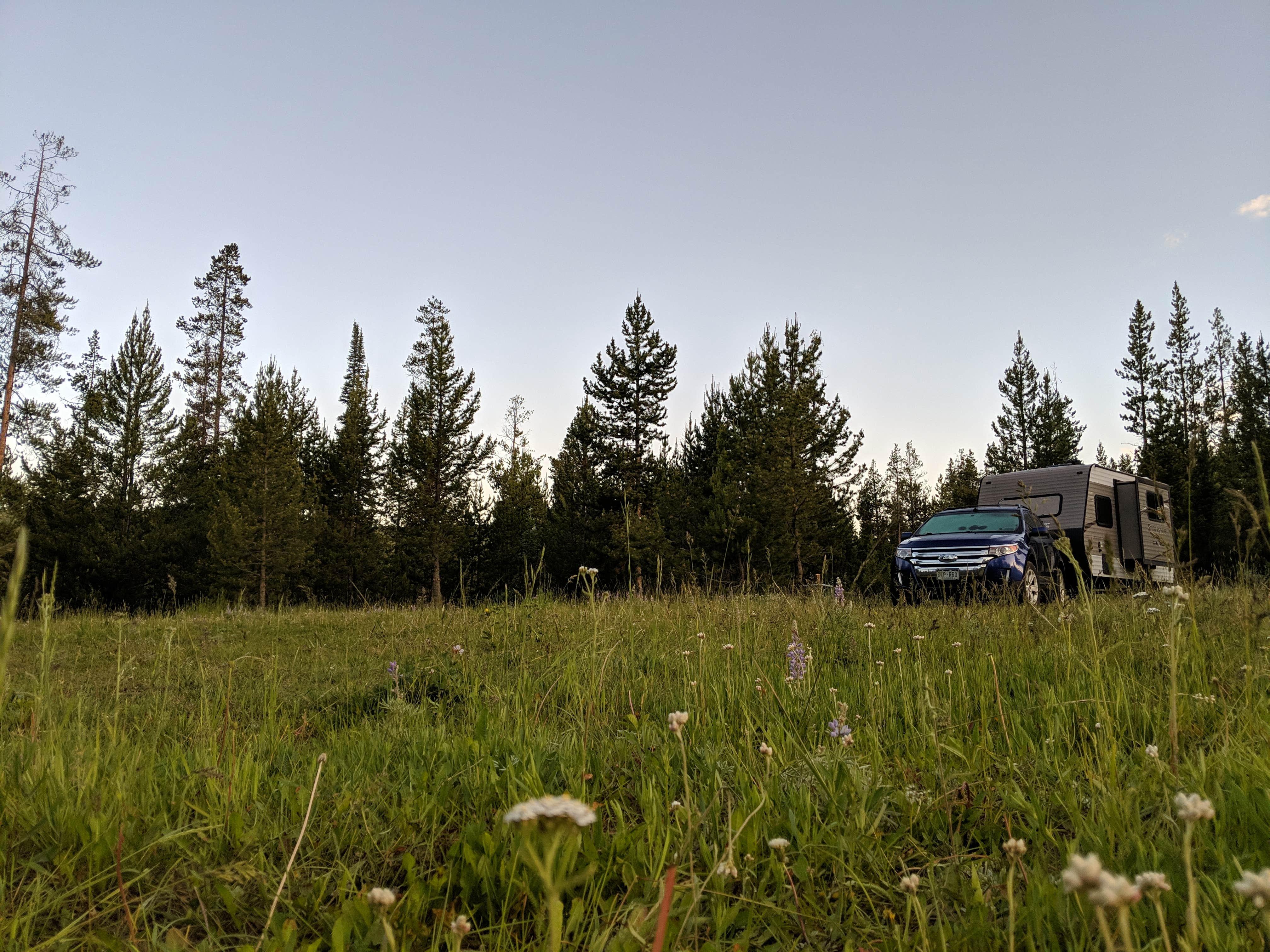 Camper submitted image from Fisherman Creek Road - 4