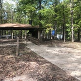 Review photo of David Crockett State Park Campground by Shelly S., October 23, 2018