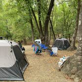 Review photo of Pfeiffer Big Sur State Park Campground by Andre V., July 13, 2023