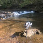 Review photo of David Crockett State Park Campground by Shelly S., October 23, 2018