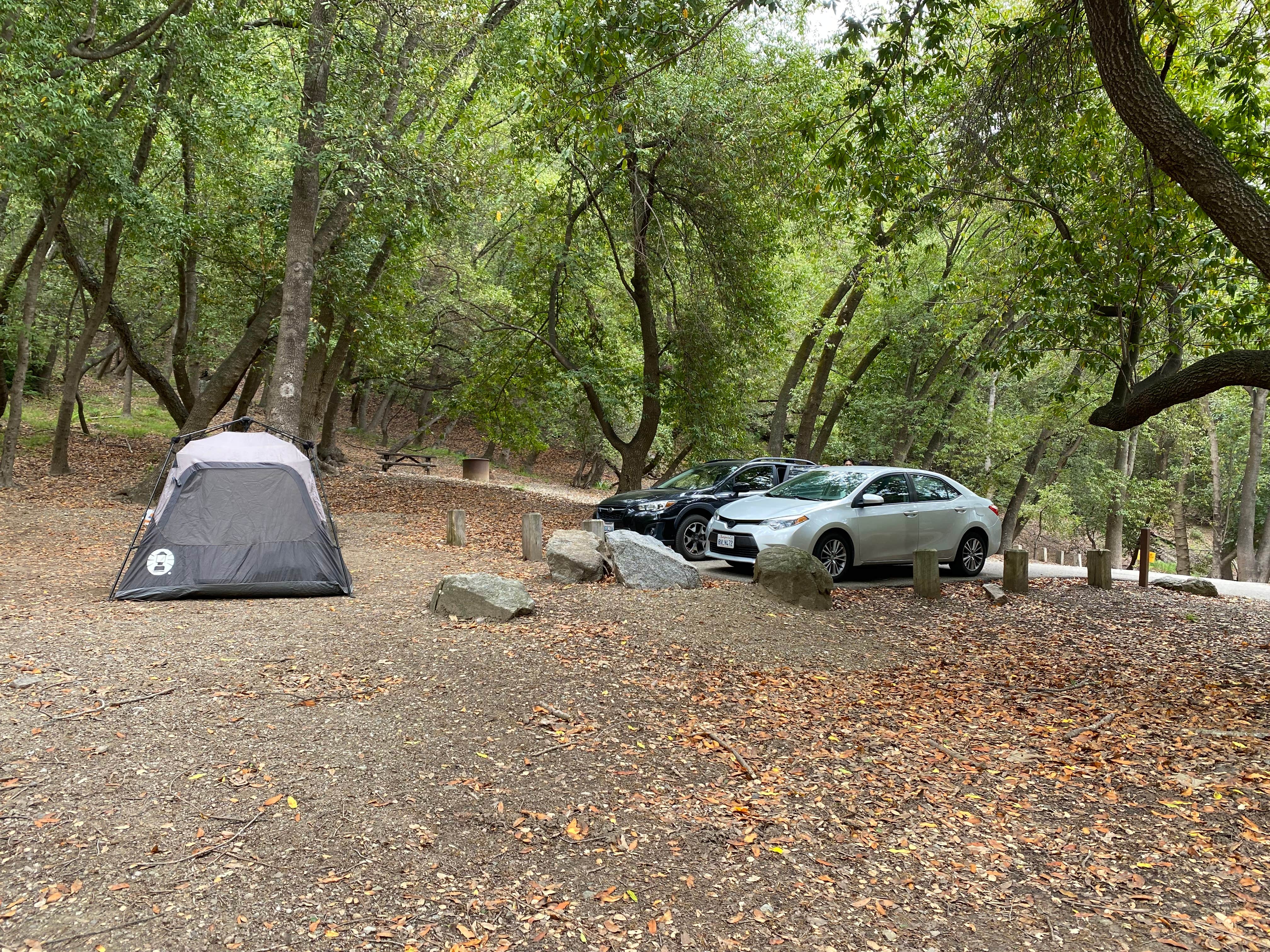 Andre V.'s photo of tent camping at Pfeiffer Big Sur State Park Campground near Carmel-by-the-Sea, CA
