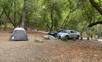 Andre V.'s photo of tent camping at Pfeiffer Big Sur State Park Campground near Carmel-by-the-Sea, CA