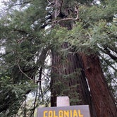 Review photo of Pfeiffer Big Sur State Park Campground by Andre V., July 13, 2023