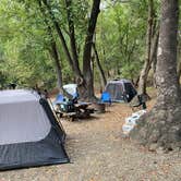 Review photo of Pfeiffer Big Sur State Park Campground by Andre V., July 13, 2023