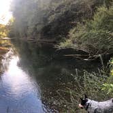 Review photo of David Crockett State Park Campground by Shelly S., October 23, 2018