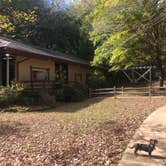 Review photo of David Crockett State Park Campground by Shelly S., October 23, 2018