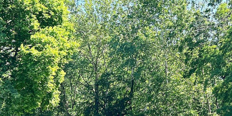 Camper submitted image from Indian Lake Adventures