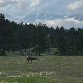 Review photo of East Portal Campground at Estes Park by Elizabeth R., July 13, 2023