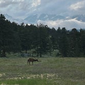 Review photo of East Portal Campground at Estes Park   by Elizabeth R., July 13, 2023