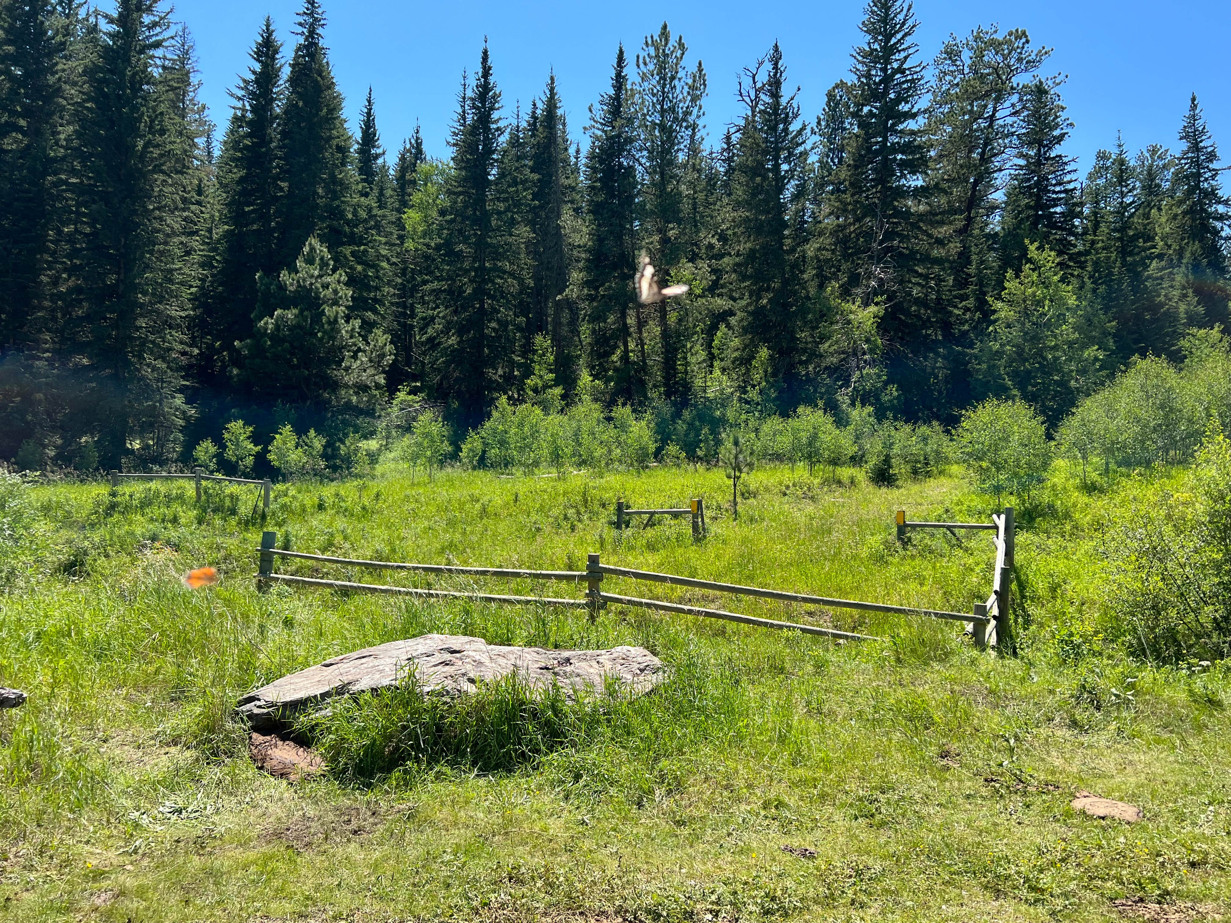 Camper-submitted photo at Spring Creek Road near Hot Springs, SD