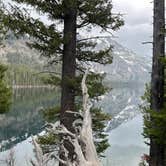 Review photo of Jenny Lake Campground — Grand Teton National Park by Heidi L., July 13, 2023