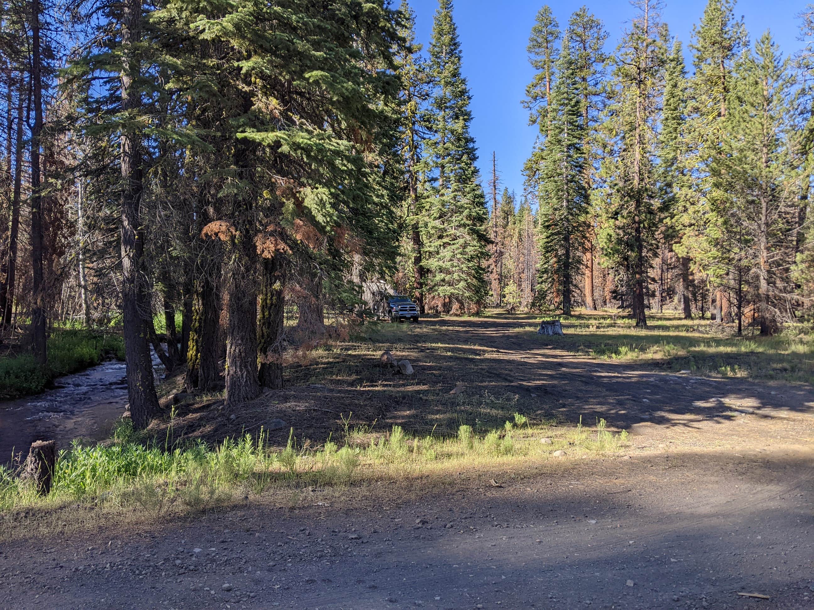Camping near Cone Lake Road: Butte Creek, Old Station, California
