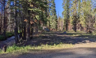 Camping near 31N17N - North Manzanita Dispersed Camping : Butte Creek, Old Station, California