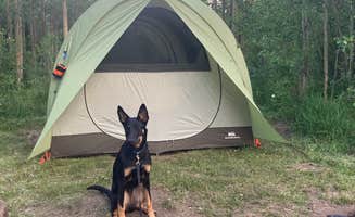 Rachel W.'s photo of camping with pets at Clear Lake near Georgetown, CO