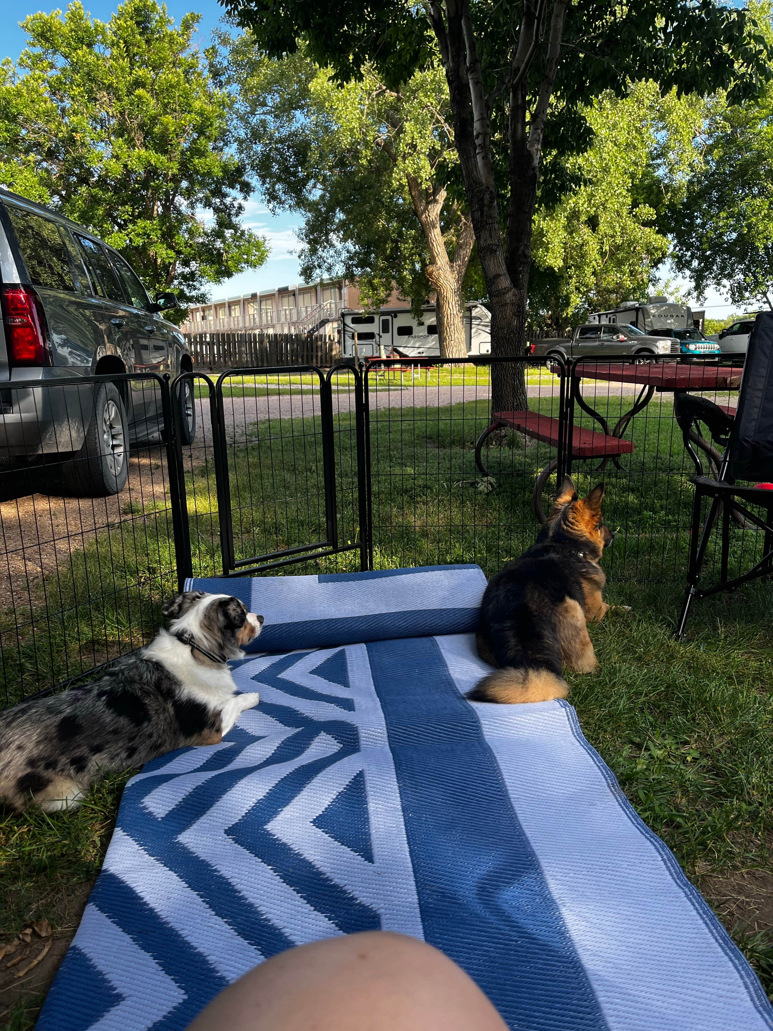 Shannon C.'s photo of camping with pets at Holiday RV Park near Gothenburg, NE