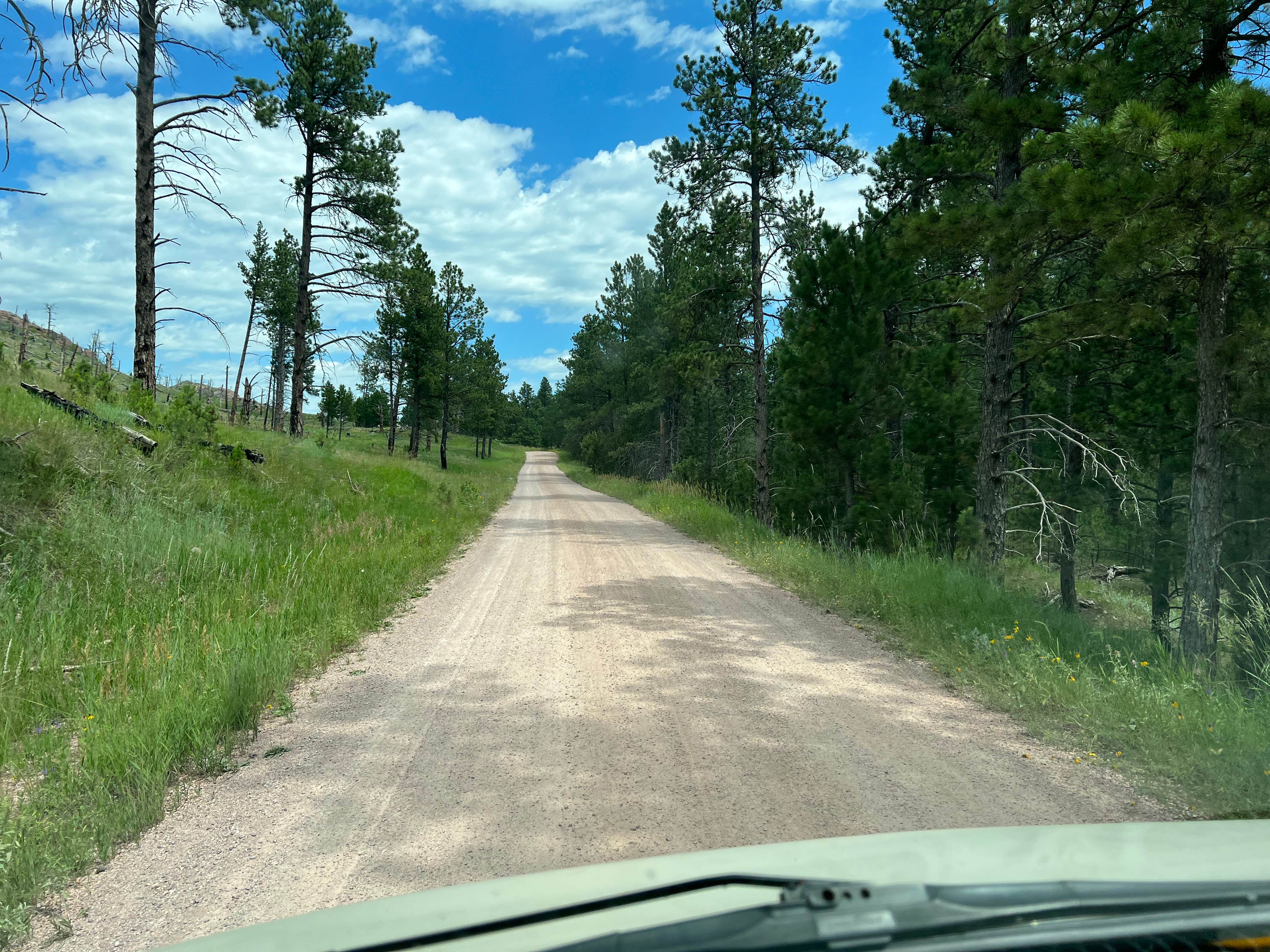 Camper submitted image from Cold Springs School Road by Beaver Creek - 2