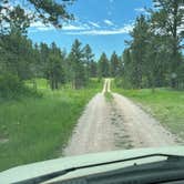 Review photo of Cold Springs School Road by Beaver Creek by Art S., July 13, 2023