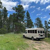 Review photo of Cold Springs School Road - Forest Road Pull Out by Art S., July 13, 2023