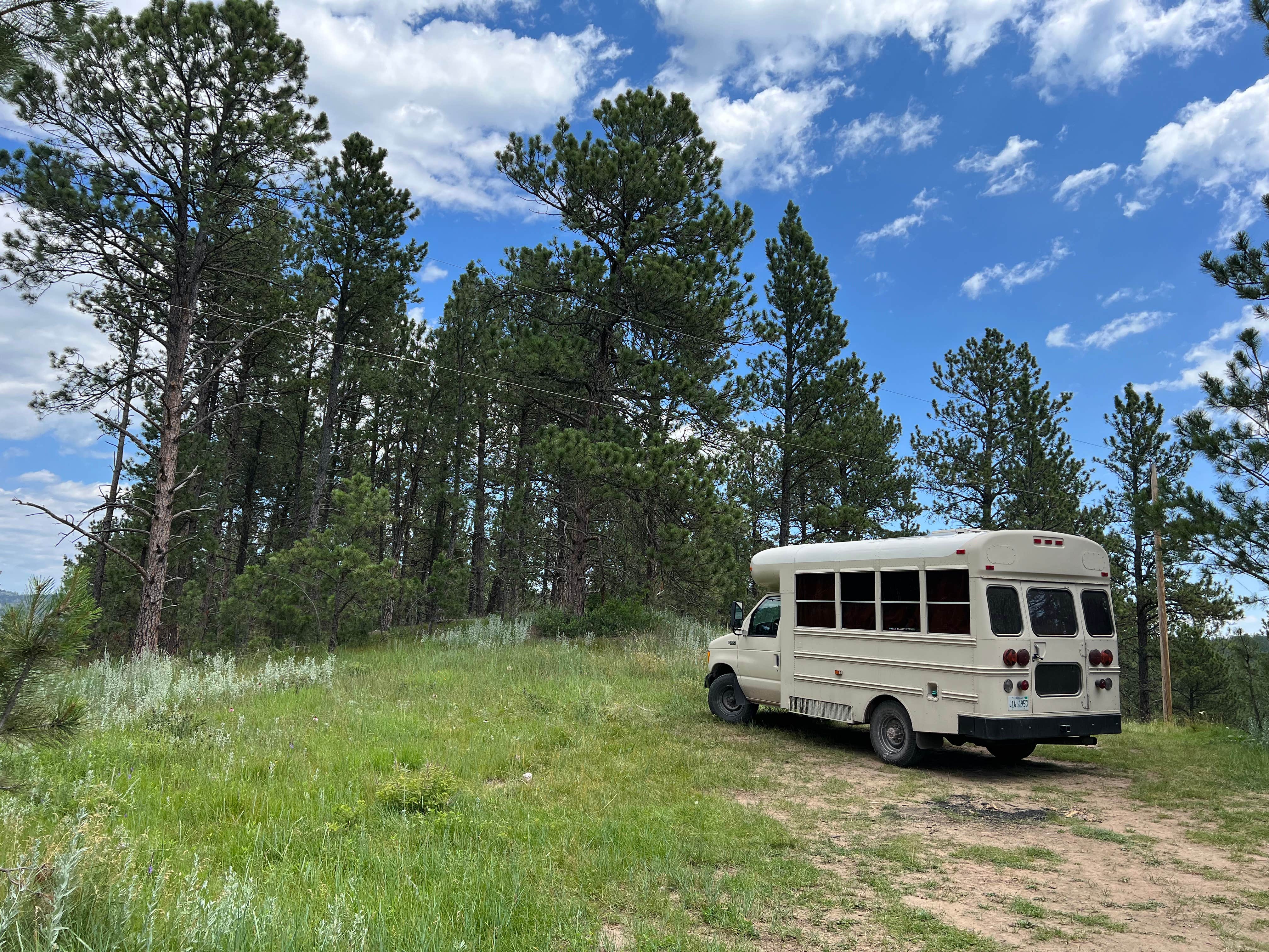 Camper submitted image from Cold Springs School Road - Forest Road Pull Out - 2