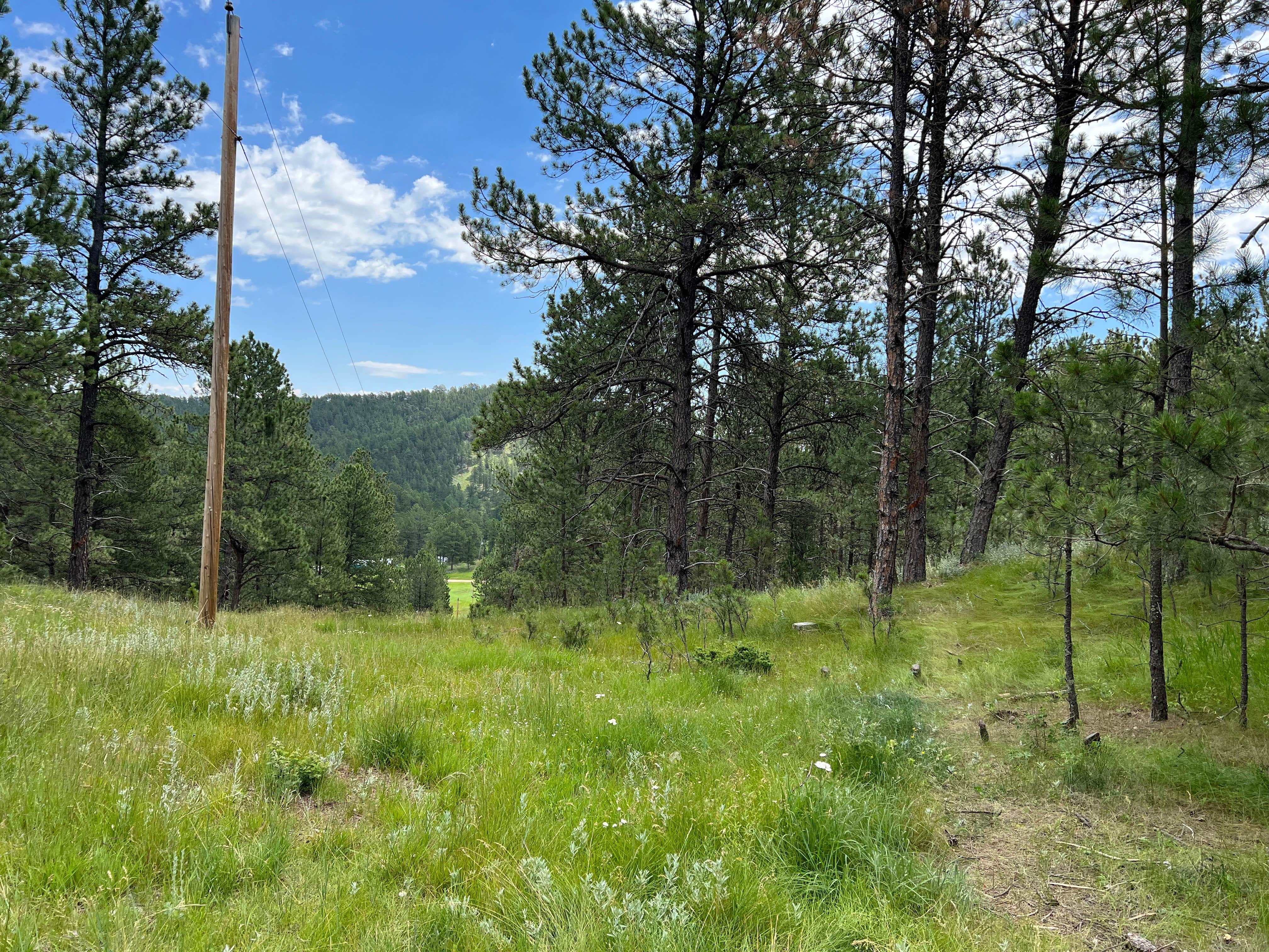 Camper-submitted photo at Cold Springs School Road - Forest Road Pull Out near Hot Springs, SD
