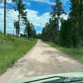 Review photo of Cold Springs School Road - Forest Road Pull Out by Art S., July 13, 2023