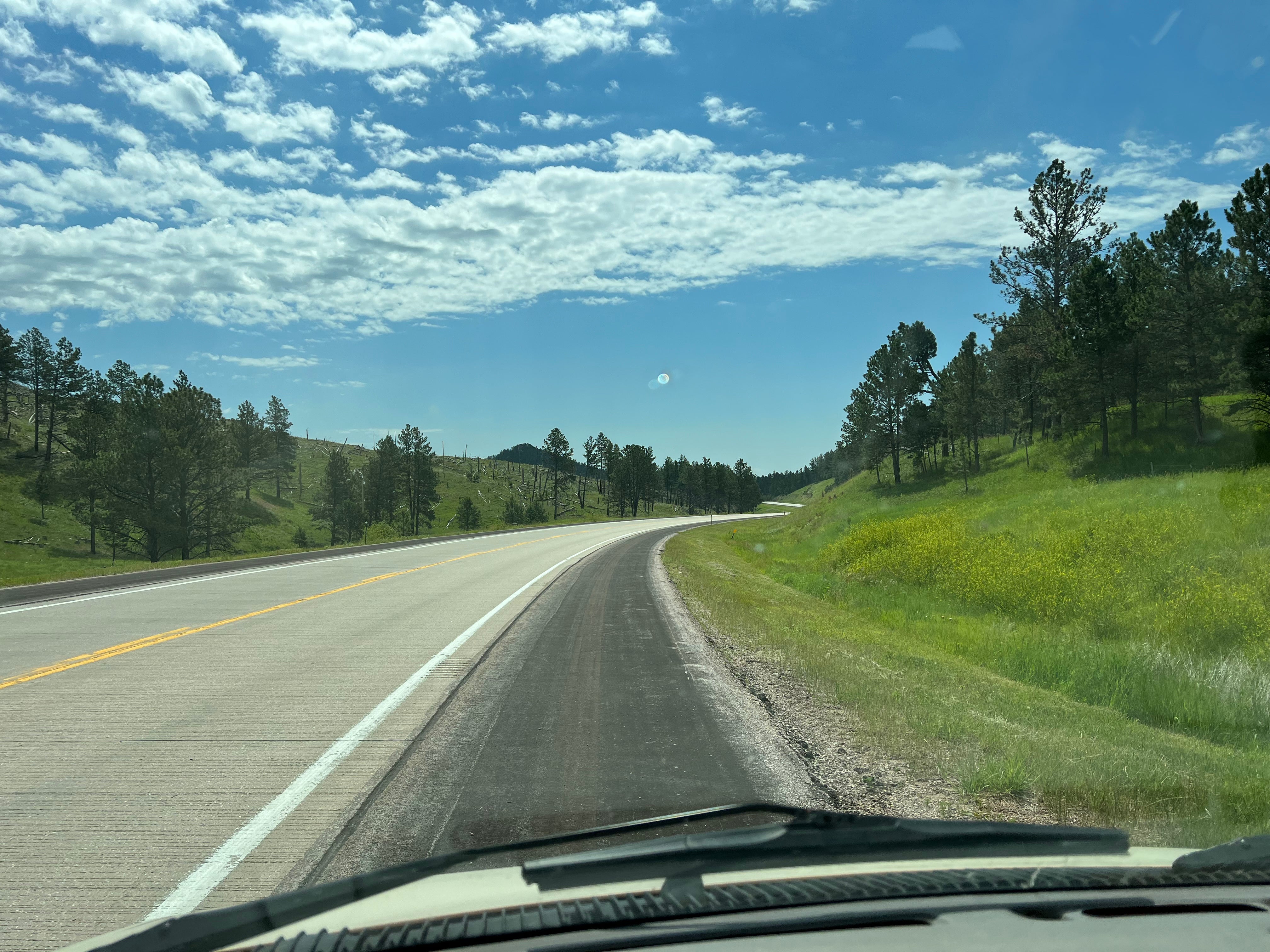 Camper submitted image from Black Hills Dispersed Site - Hwy 89  - 2