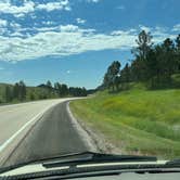 Review photo of Black Hills Dispersed Site - Hwy 89 by Art S., July 13, 2023